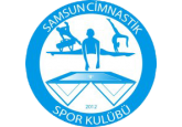 Samsun Cimnastik Spor Kulübü